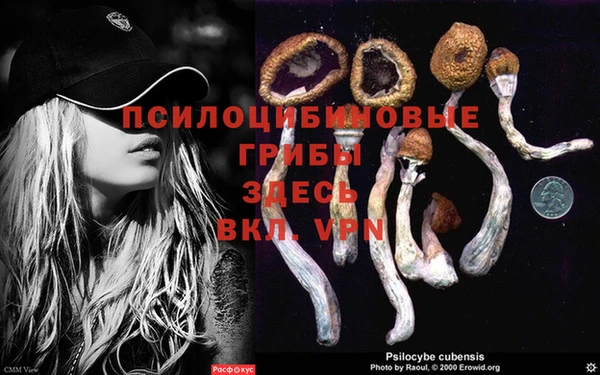ALPHA-PVP Нязепетровск