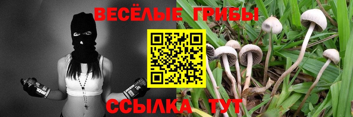 Псилоцибиновые грибы мицелий  купить закладку  Каспийск  Вход с VPN 